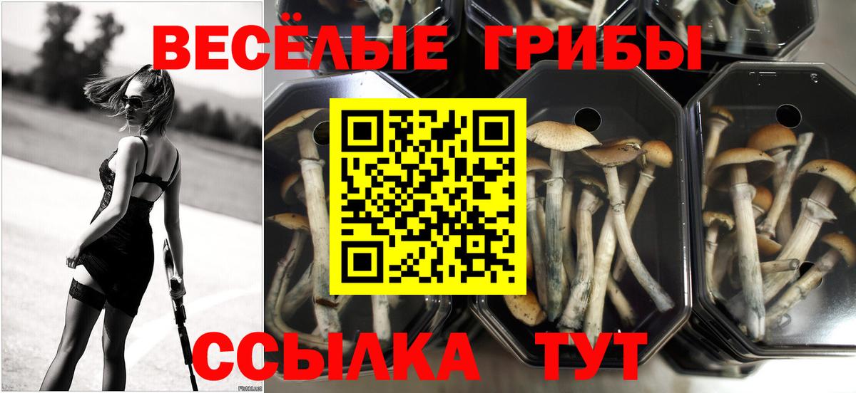 Галлюциногенные грибы Magic Shrooms  Галлюциногенные грибы прущие грибы  Вход с VPN  Трёхгорный 